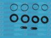 AUTOFREN SEINSA D41644 Repair Kit, brake caliper